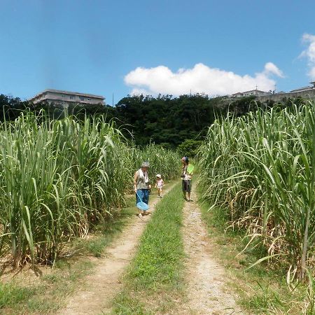 Okinawa Hostel Yanbaru Fukuro Nago Buitenkant foto