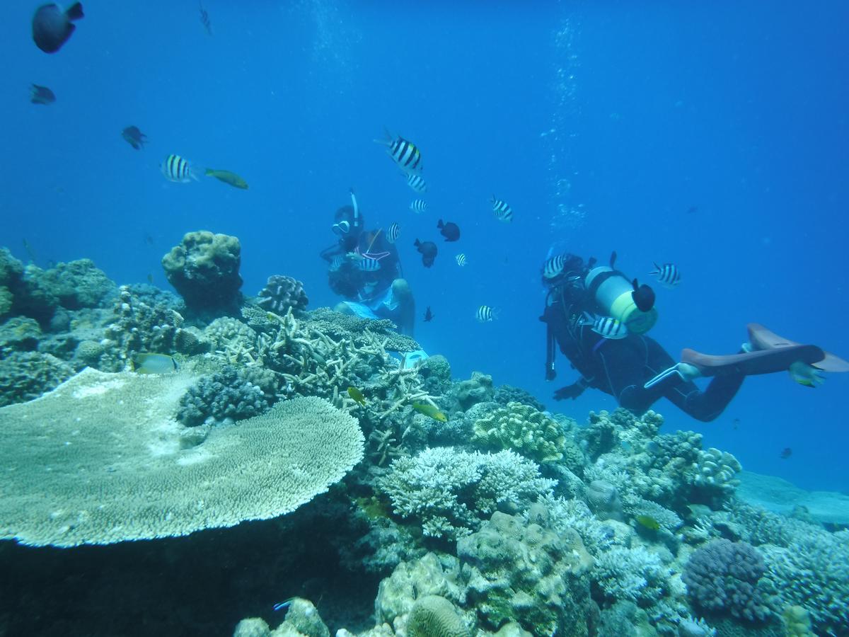 Okinawa Hostel Yanbaru Fukuro Nago Buitenkant foto
