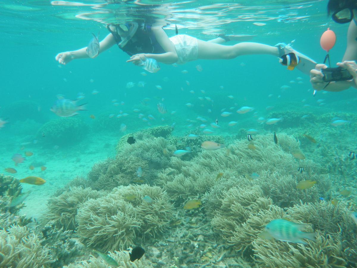 Okinawa Hostel Yanbaru Fukuro Nago Buitenkant foto